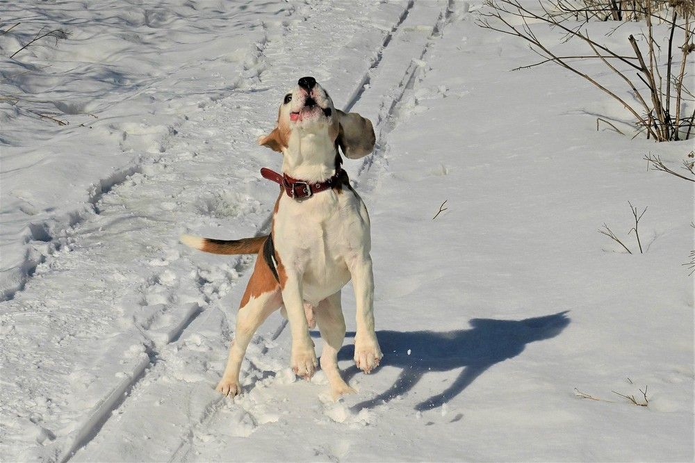 Фотография автора IRINA FILIPPOVA