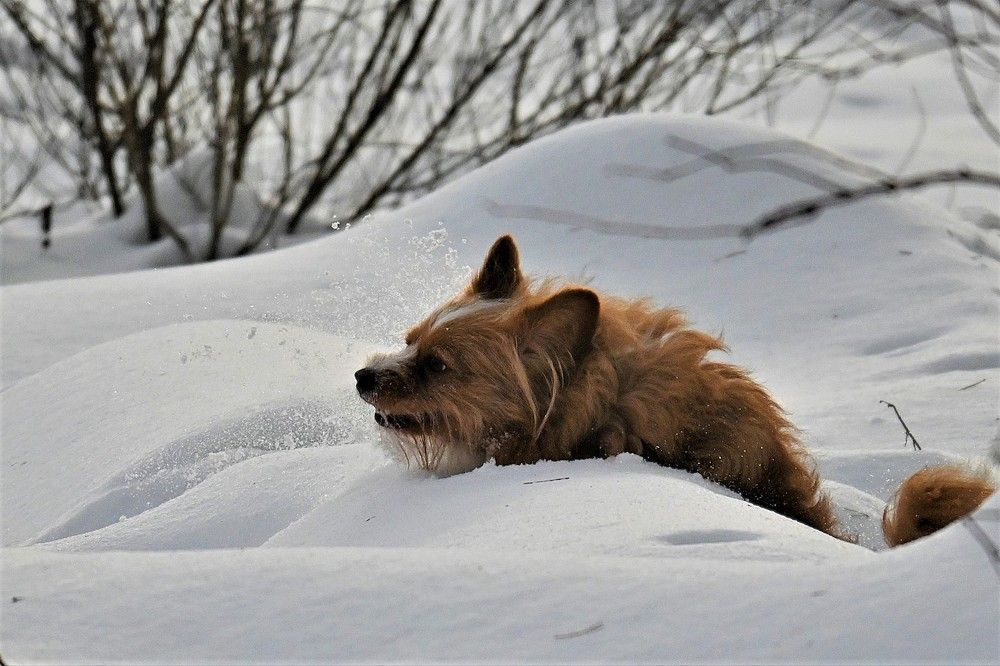 Фотография автора IRINA FILIPPOVA