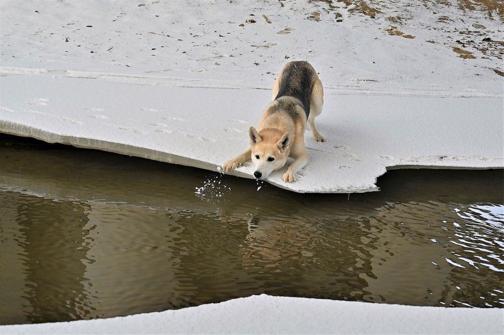 Фотография автора IRINA FILIPPOVA