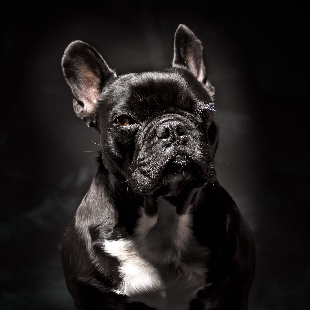 my little one eyed mousse