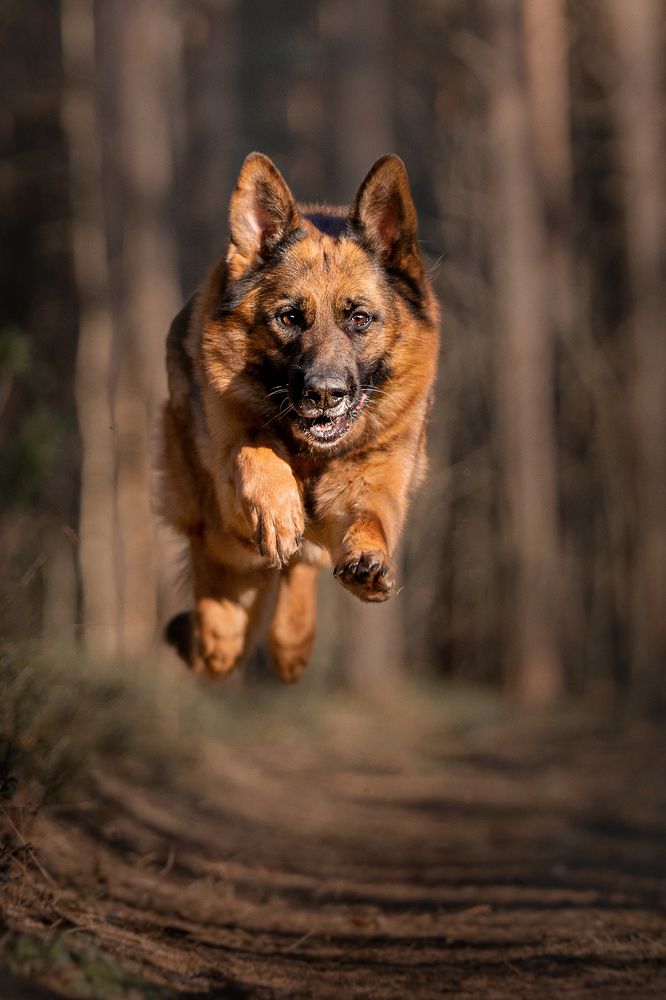 - я - тучка, тучка, тучка...