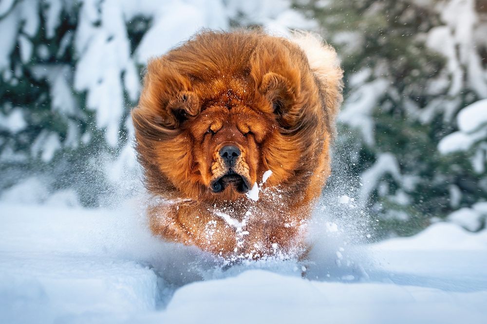 Photograph by Оксана Серова