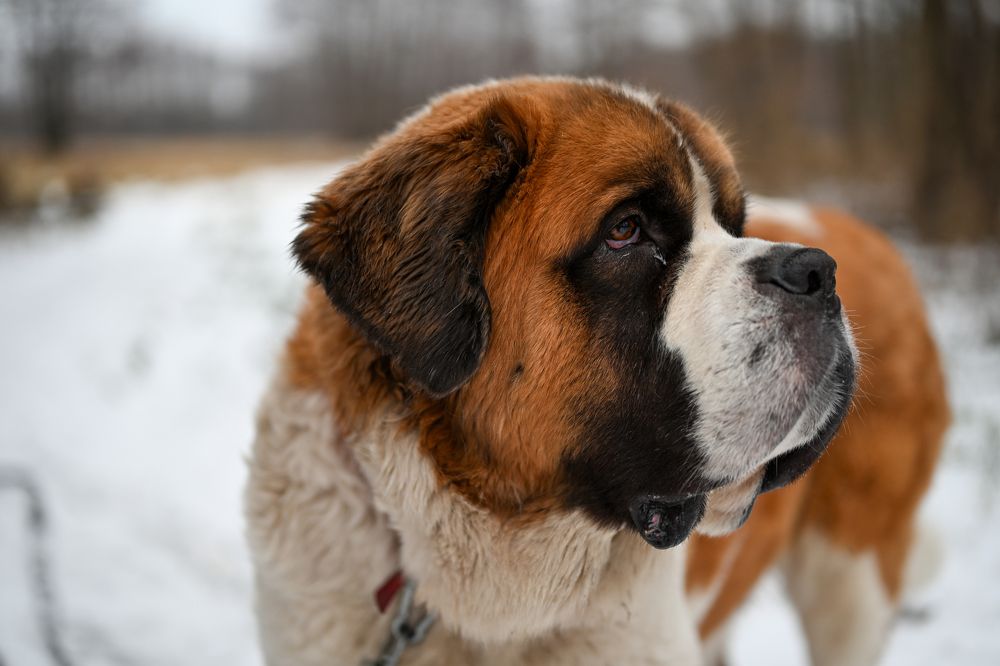 Photograph by Алексей