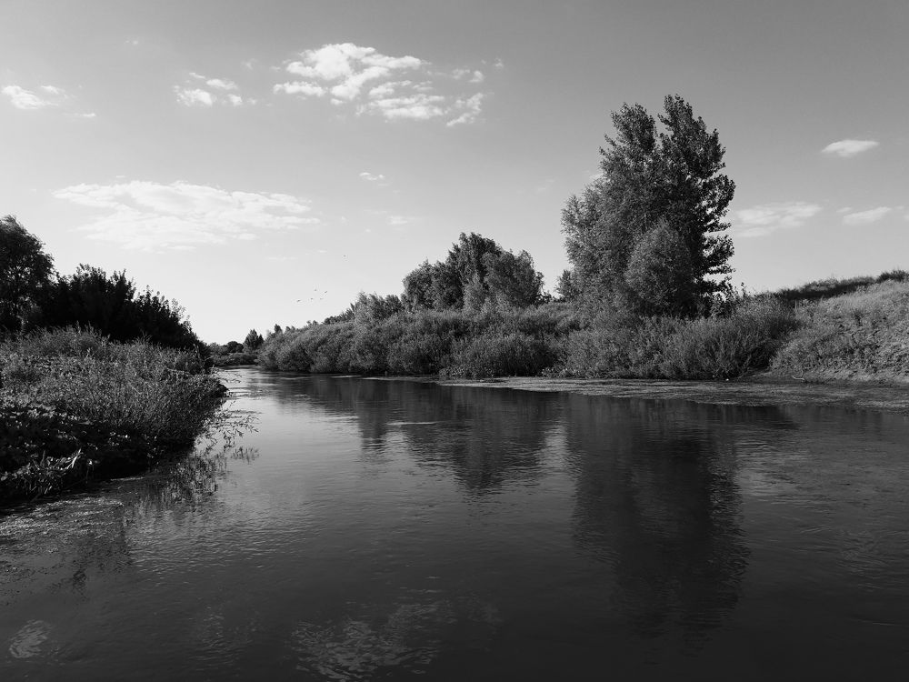 Photograph by Марина Фомичева