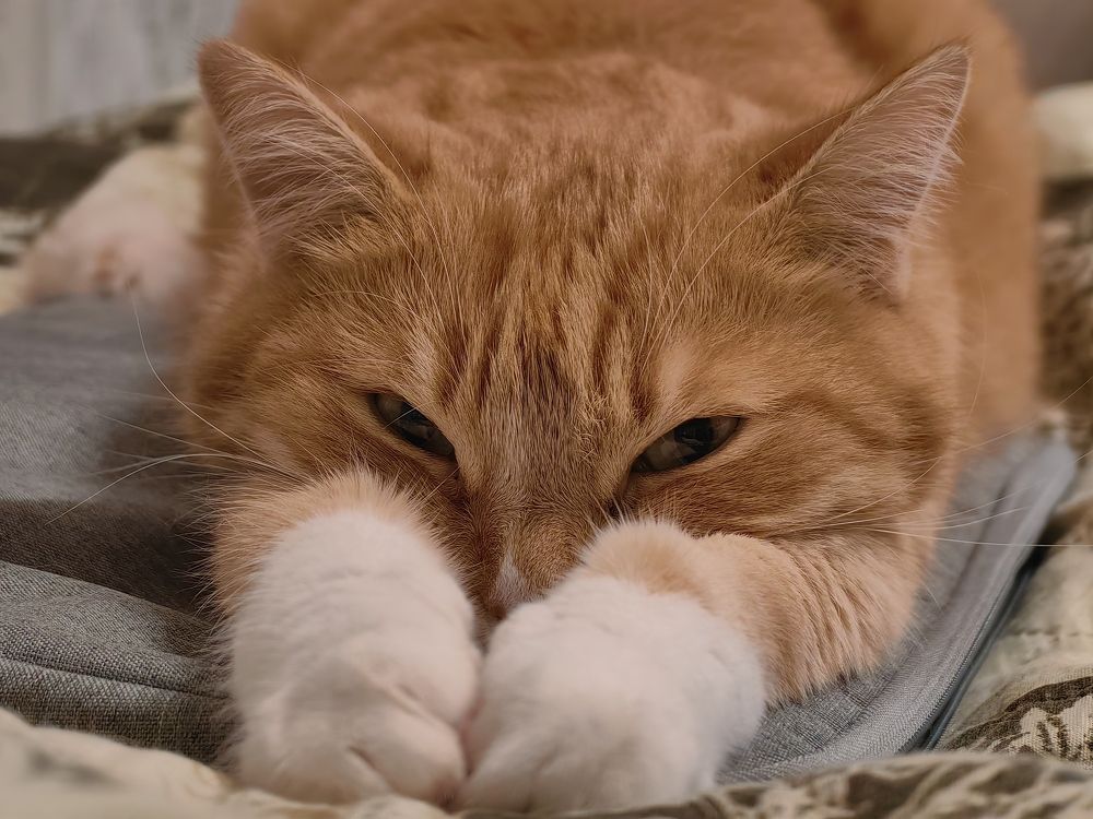 Photograph by Сергей Игнатьев