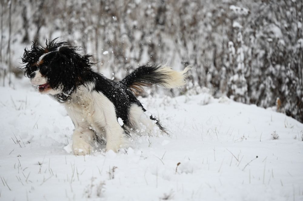 Photograph by Алексей