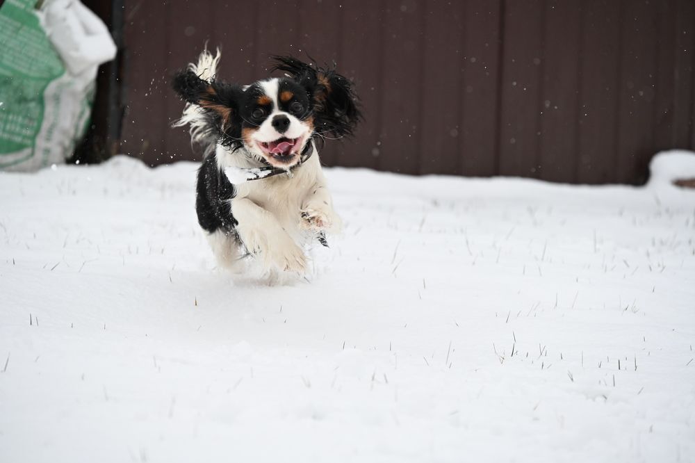 Photograph by Алексей