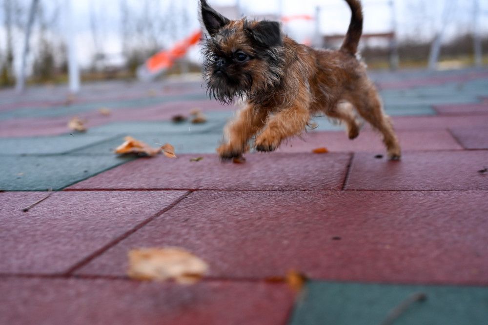 Photograph by Алексей