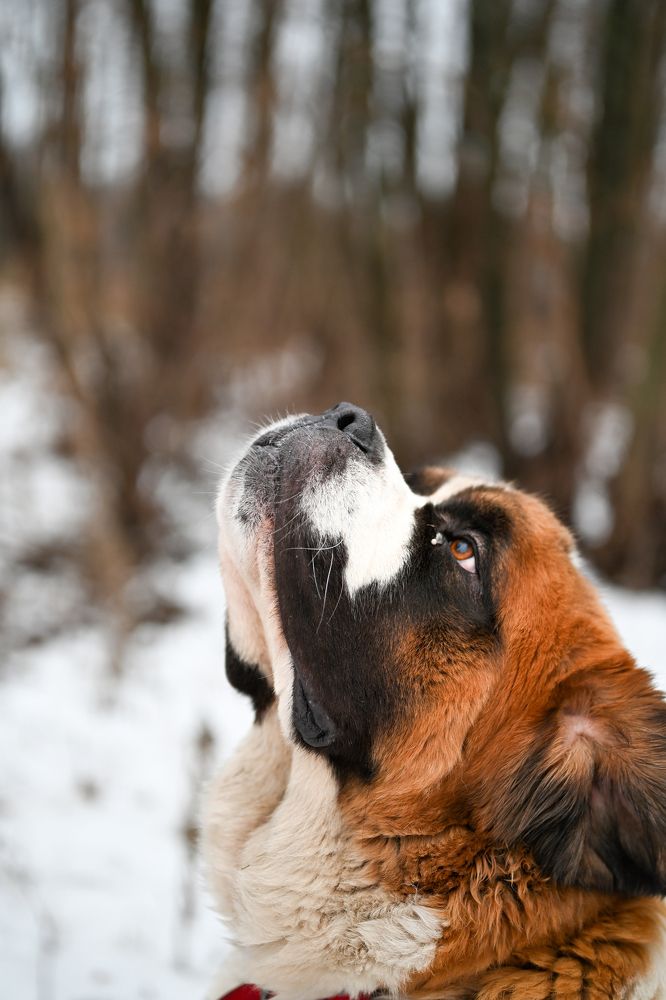 Photograph by Алексей