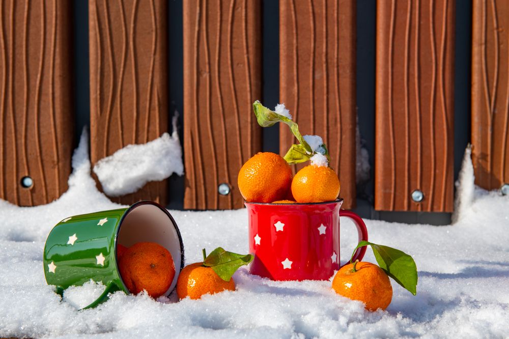 Photograph by Darina