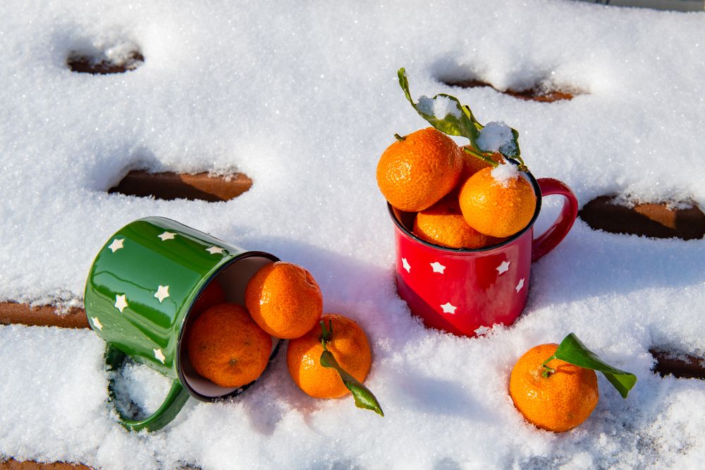 Photograph by Darina