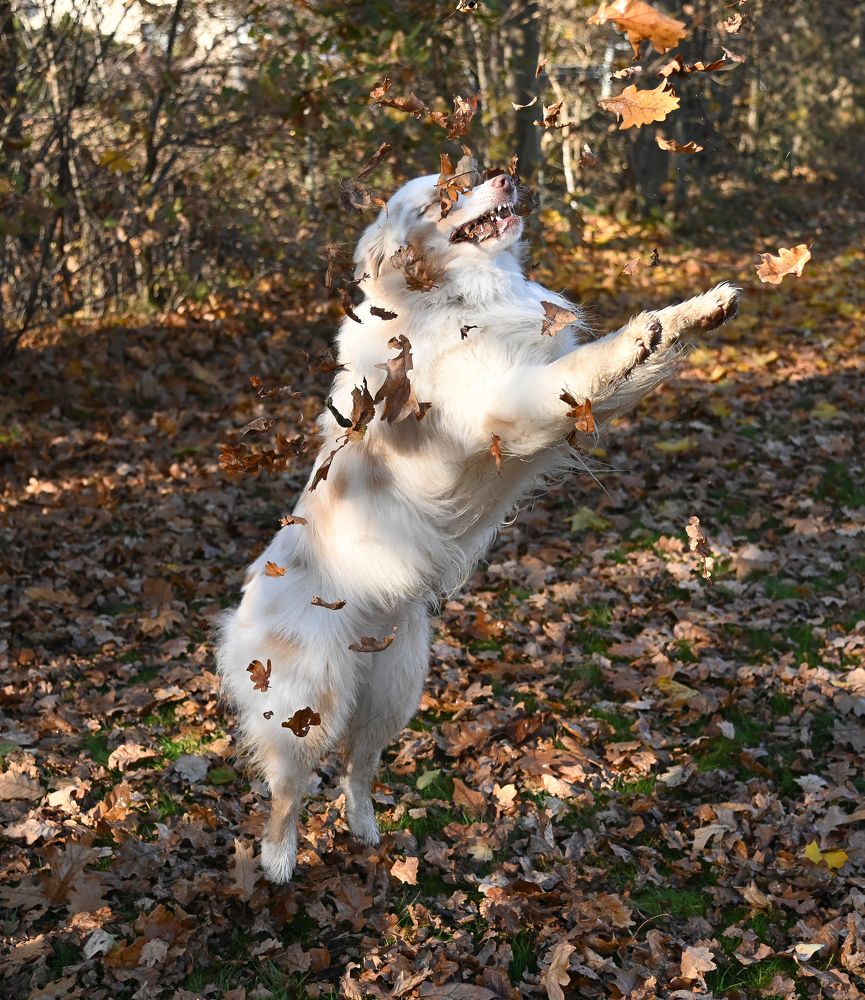 Photograph by Petr Sedlický