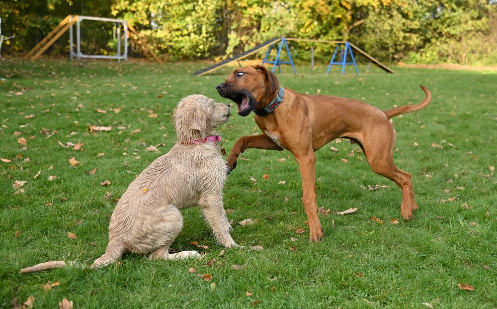Photograph by Petr Sedlický