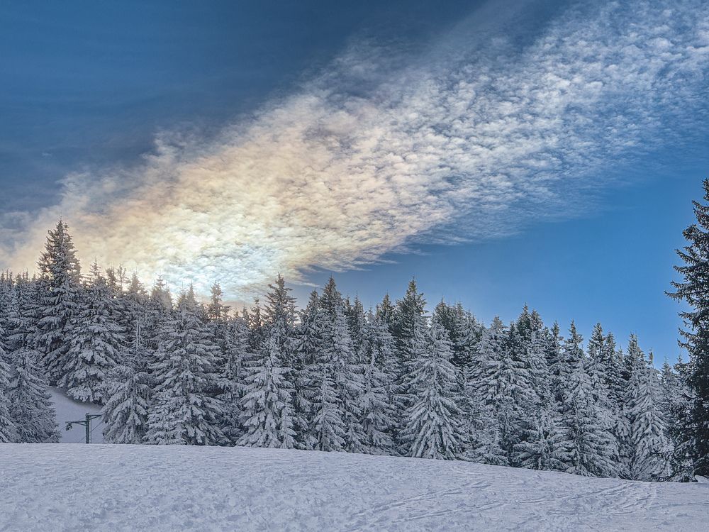 Photograph by Сидоренко Оксана