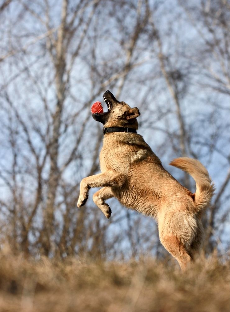 Фотография автора Ираида Гайфуллина