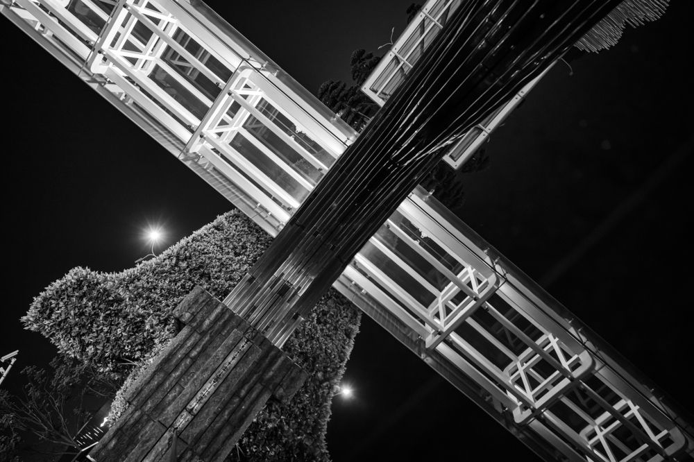 Photograph by Dimitri Bakhtadze