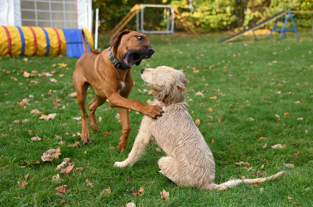 Photograph by Petr Sedlický