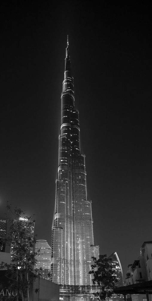 Photograph by Dimitri Bakhtadze