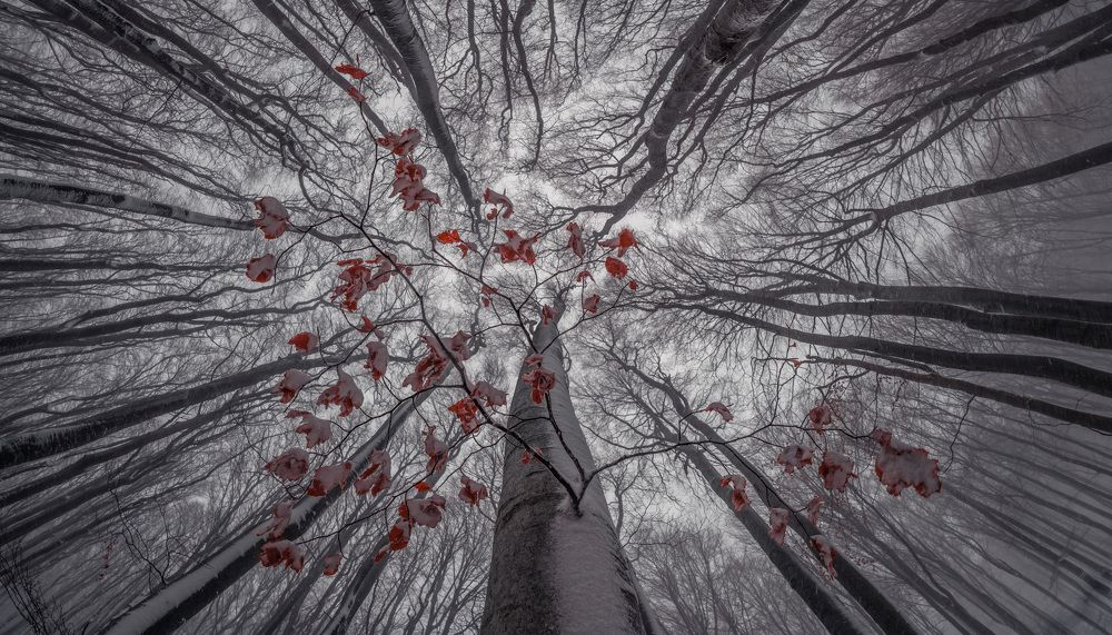 Фотография автора Konstantin Vladov