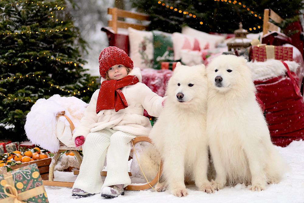 Photograph by Оксана Мартынова