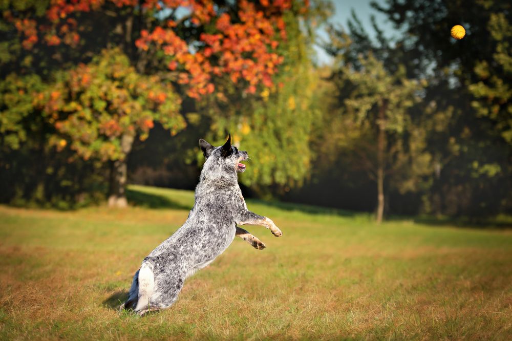 Photograph by Наталья Матюхина