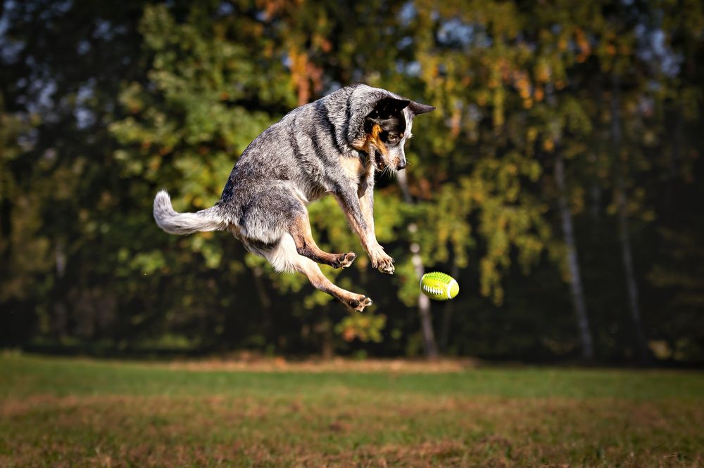 Photograph by Наталья Матюхина