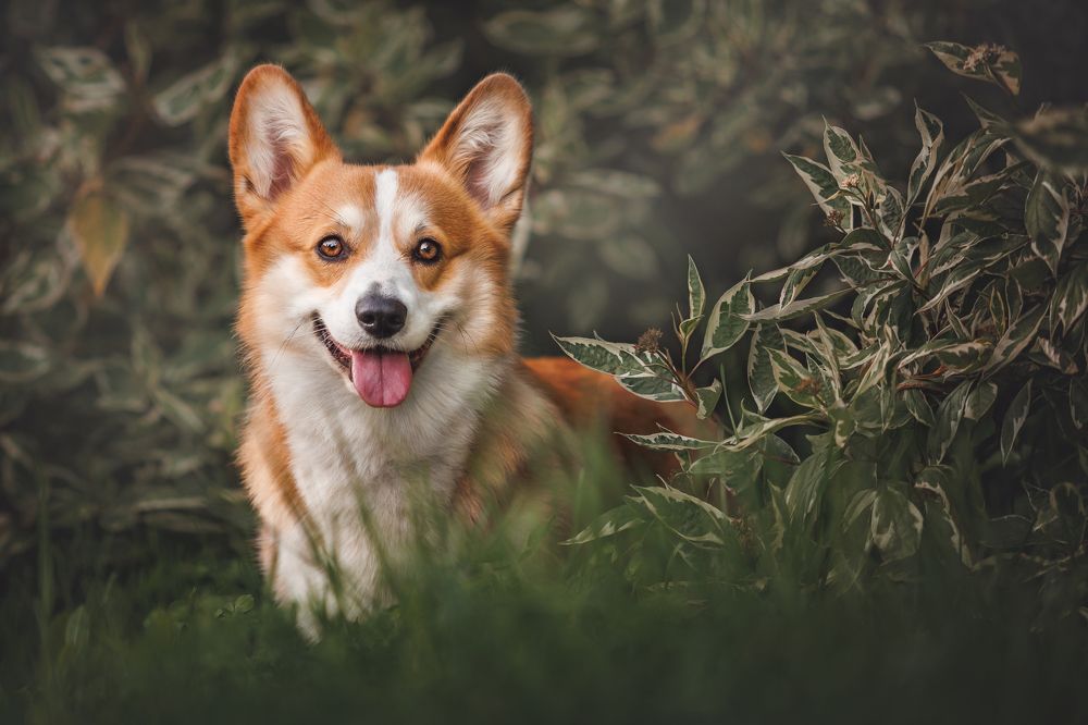 Photograph by Яна Нарбутович