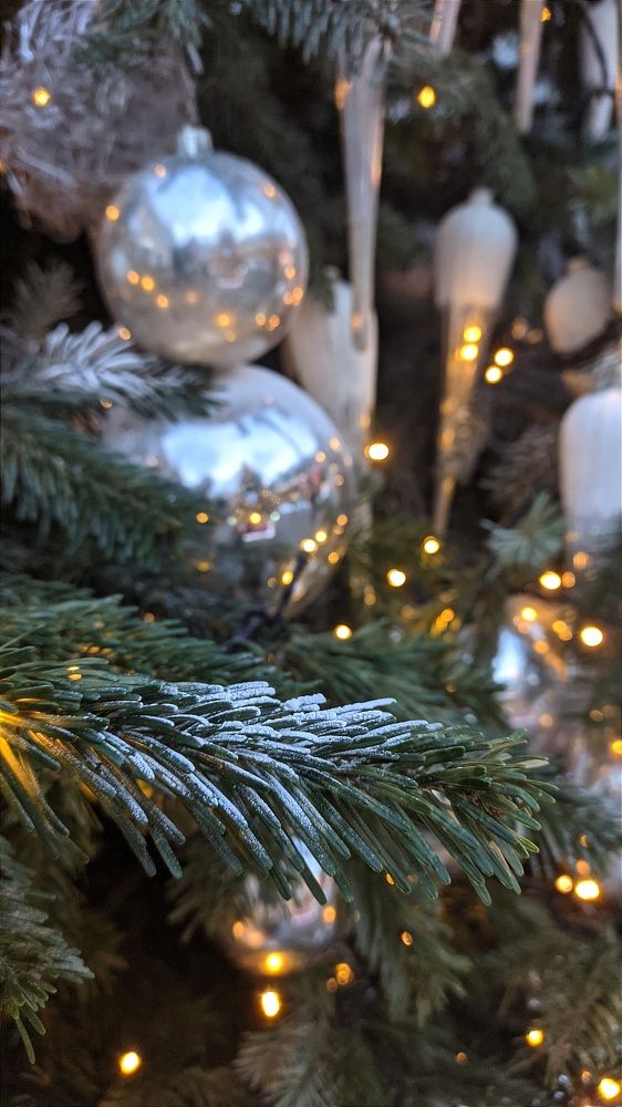 Фотография автора Васильева Ирина