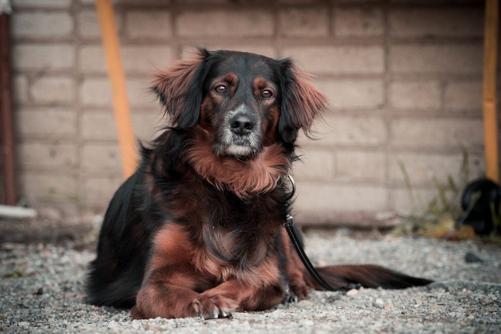 Photograph by Ignatenko Andrew