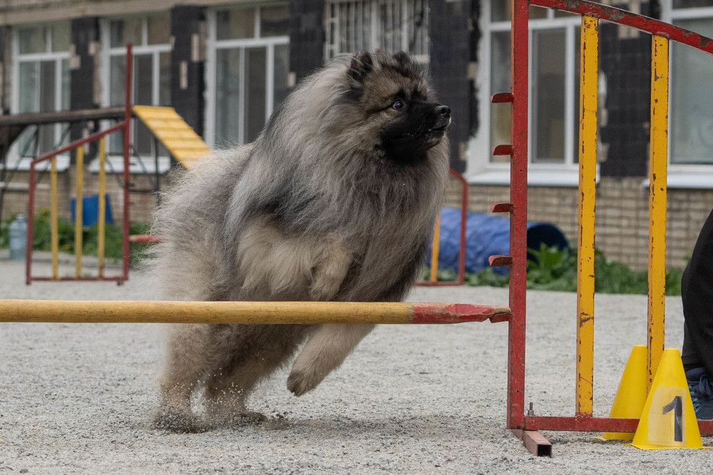 Photograph by Ignatenko Andrew