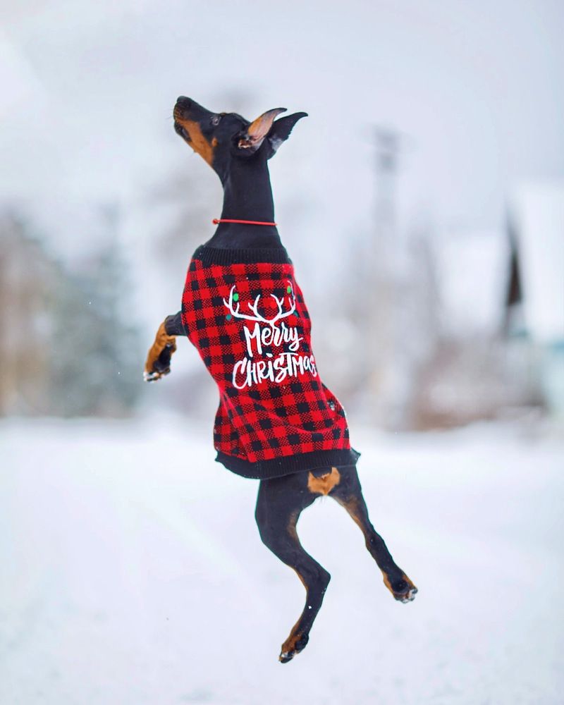 Фотография автора Ольга Трифонова