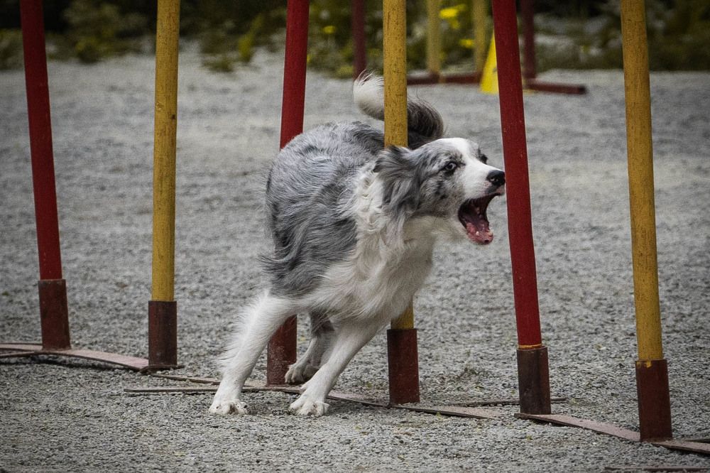 Photograph by Ignatenko Andrew