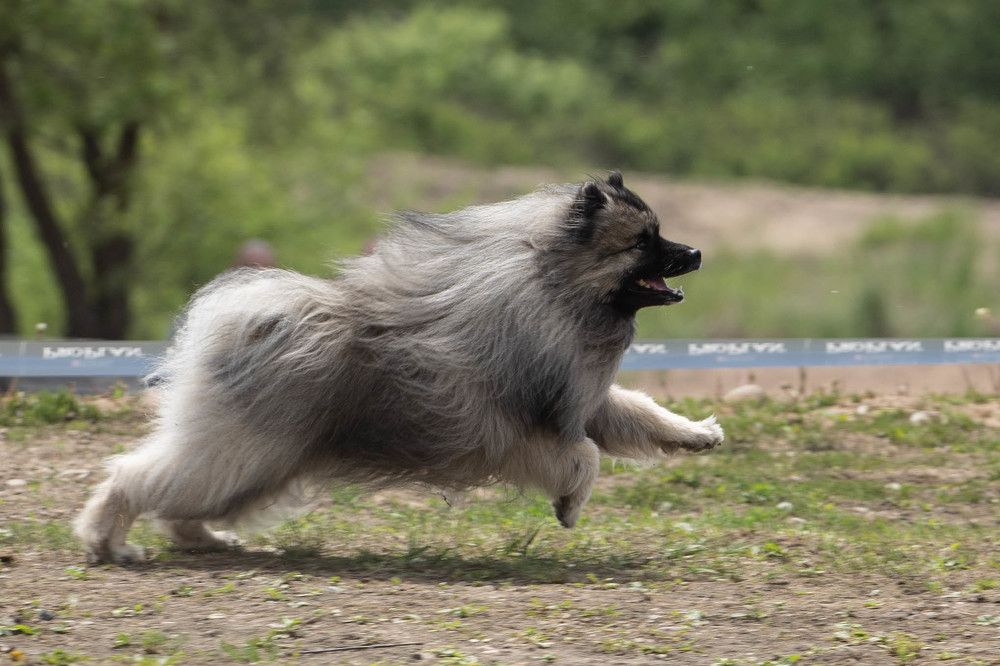 Photograph by Ignatenko Andrew