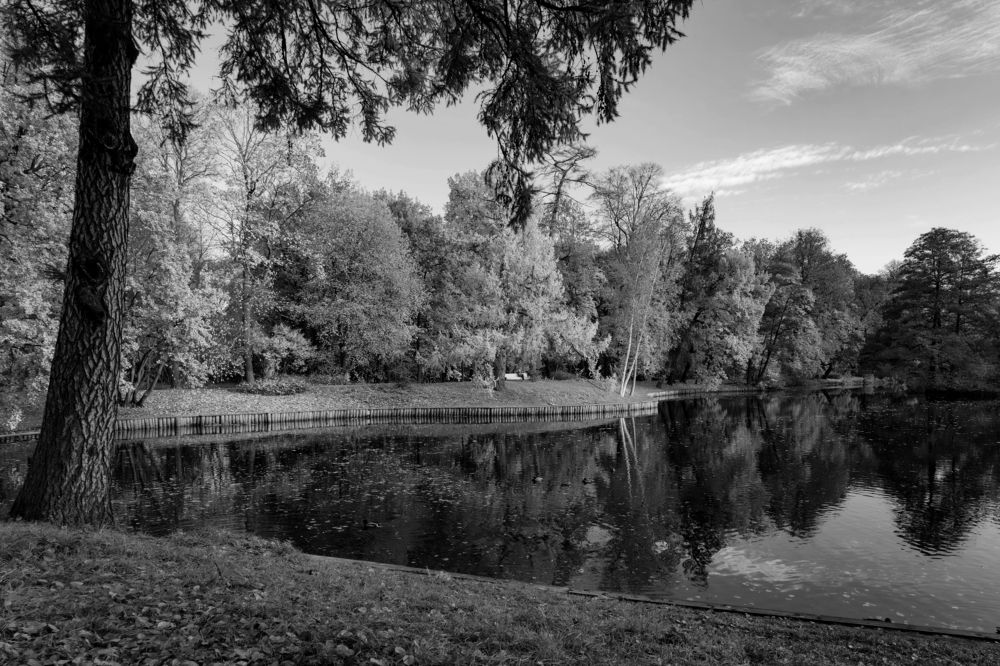 Photograph by Александр Селезнев