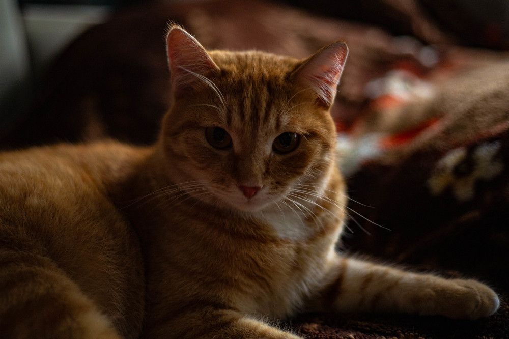 Photograph by Евгений Авдеев