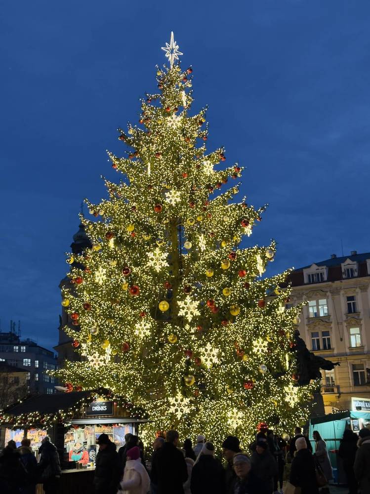 Фотография автора Kateryna Ivanova