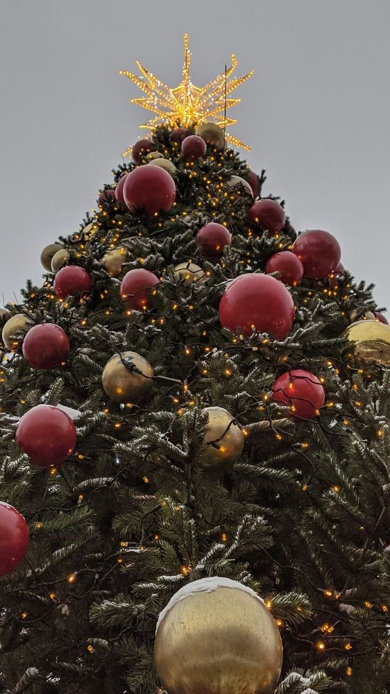 Фотография автора Васильева Ирина