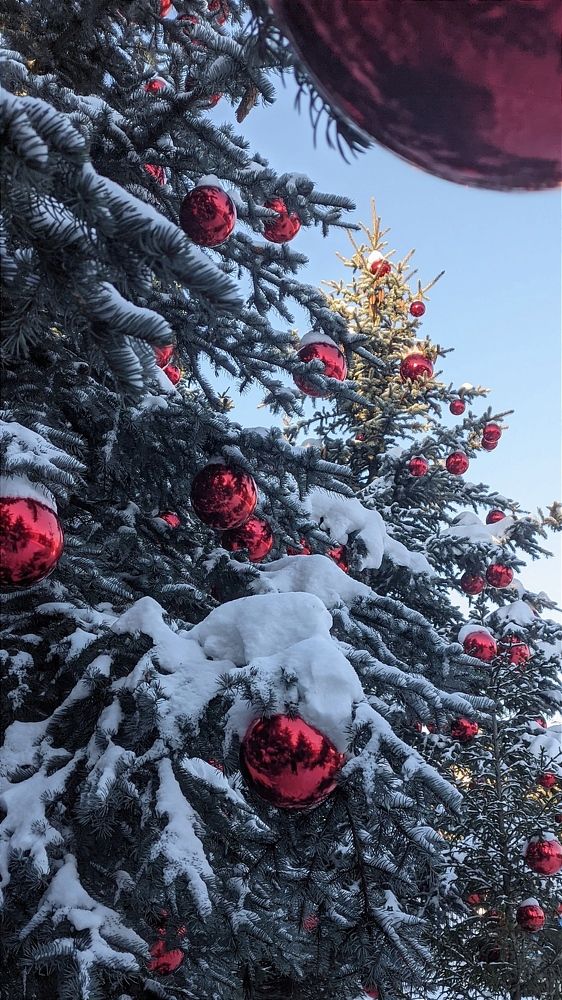 Фотография автора Васильева Ирина