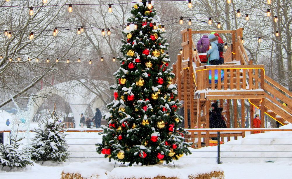 Photograph by Жанна Нечаева