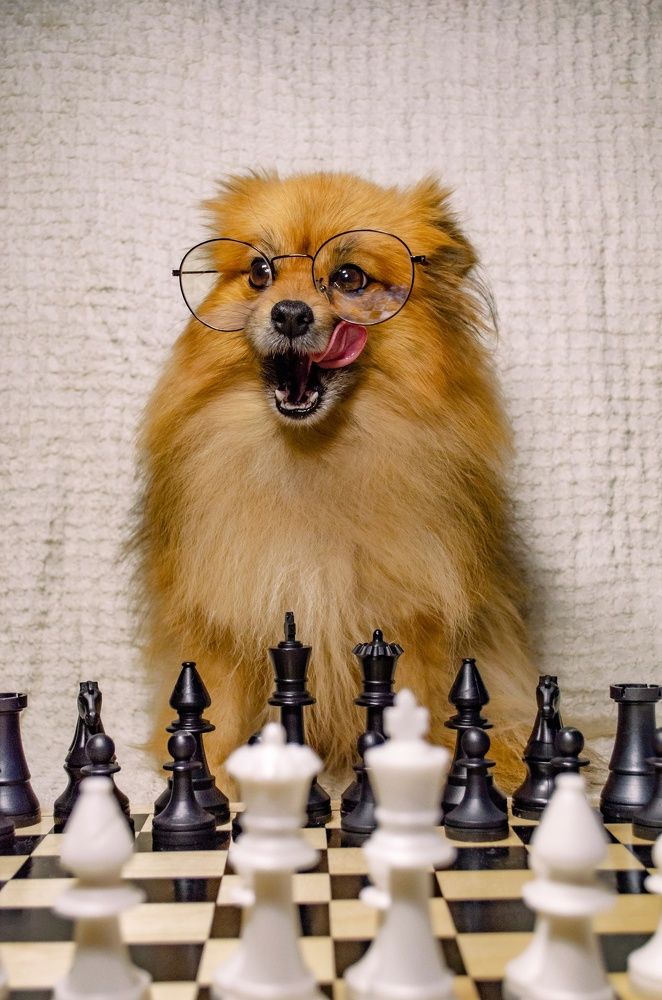 Photograph by Любовь Бусова