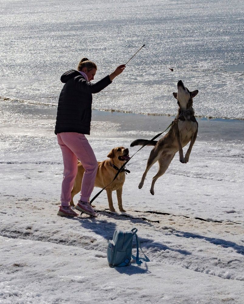 Photograph by Любовь Бусова