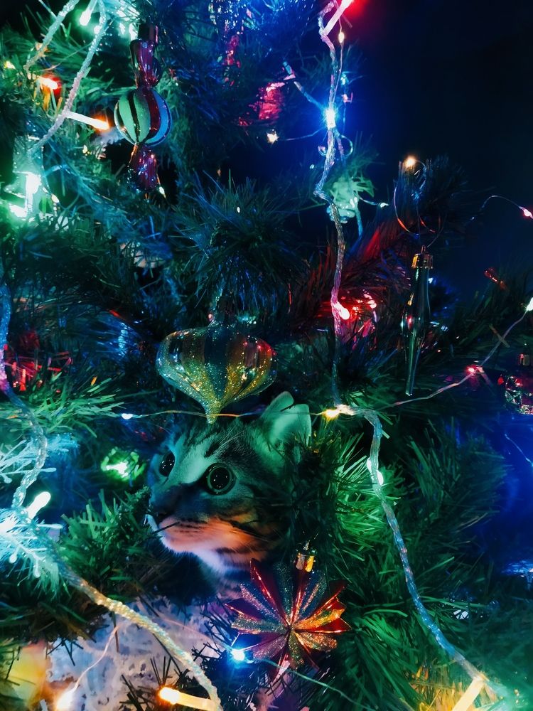 Photograph by Анастасия