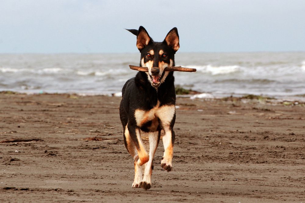 Photograph by hasan sorena jouri