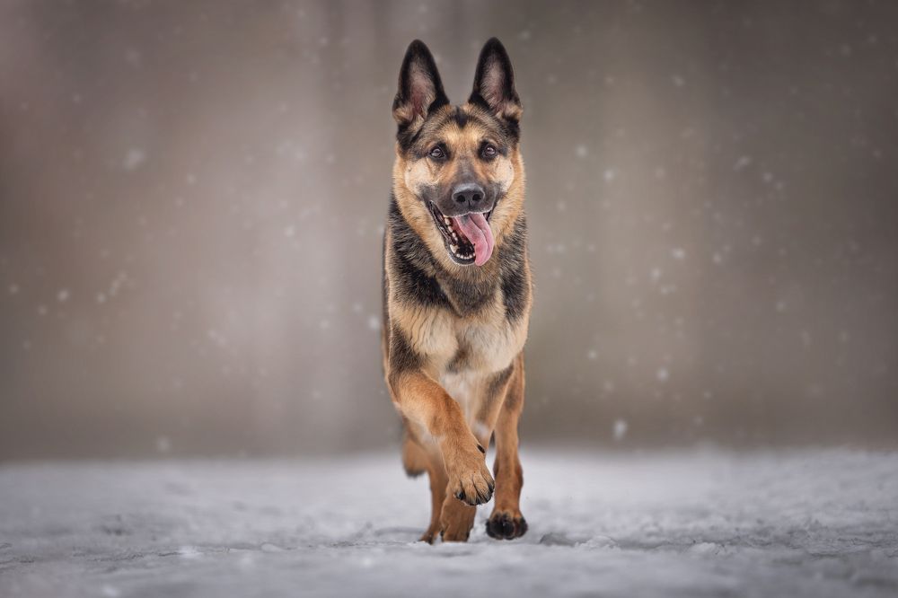 Photograph by Яна Нарбутович