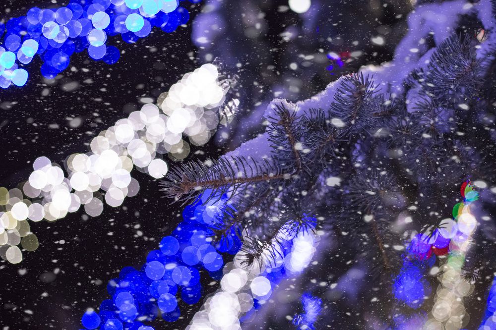 Photograph by Светлана Карнаух