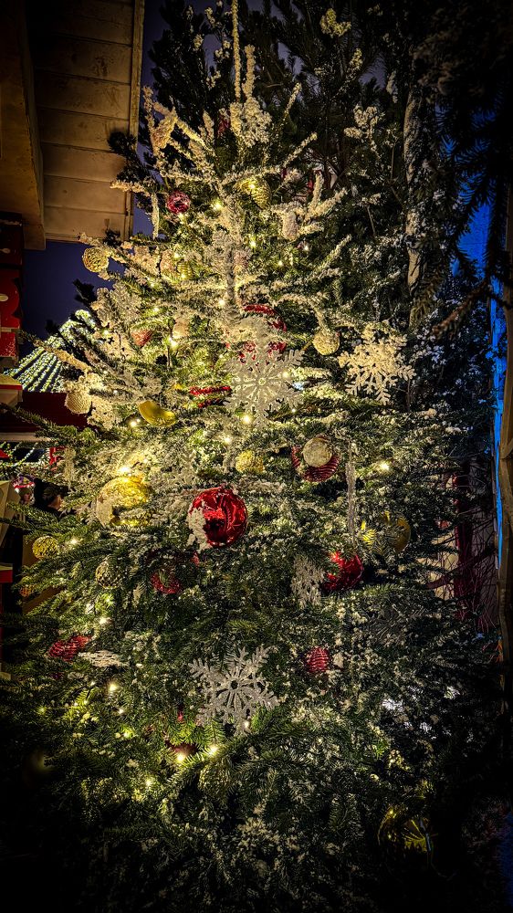 Photograph by Ekaterina Slepneva