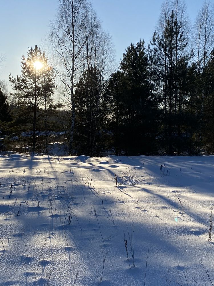 Зимнее солнце