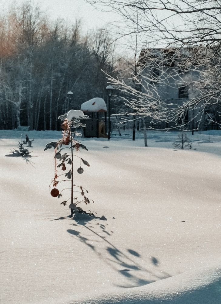 Photograph by Oxana Kostsova