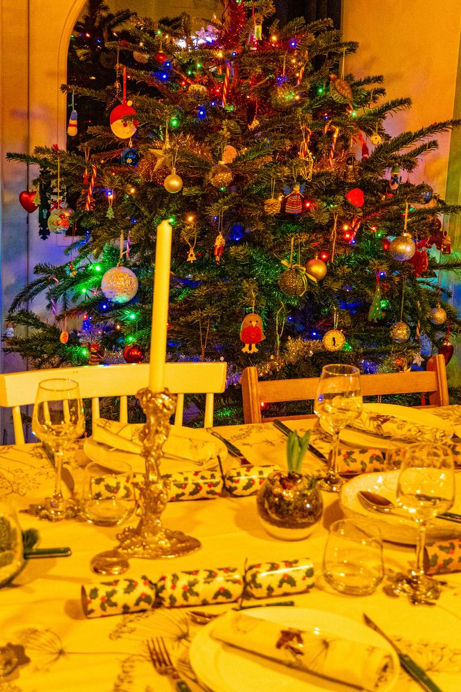 Фотография автора Emi D