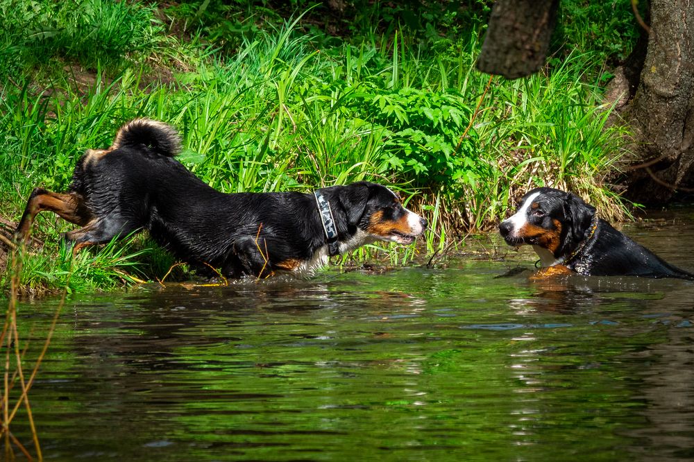 Фотография автора Валерий Бычков